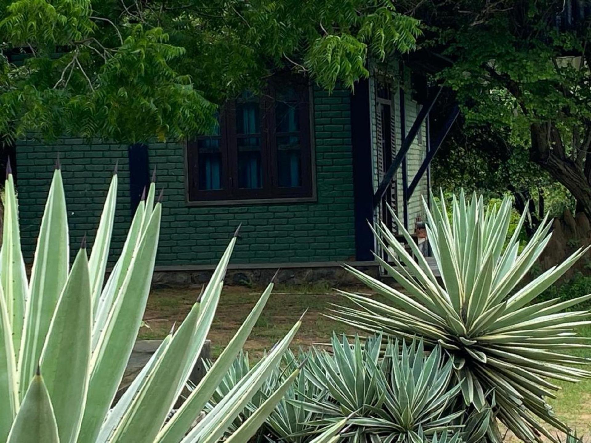 Yala Ying Yang Hostel & Camping Exterior photo